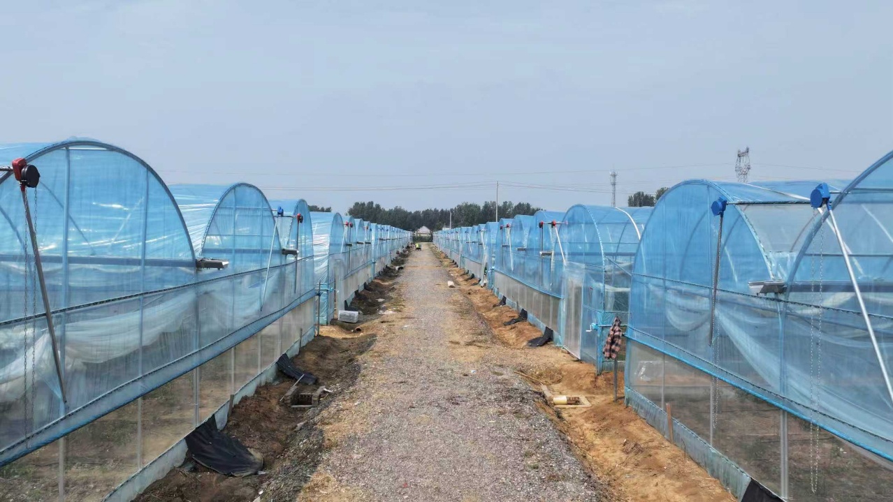 华翔农场大棚群